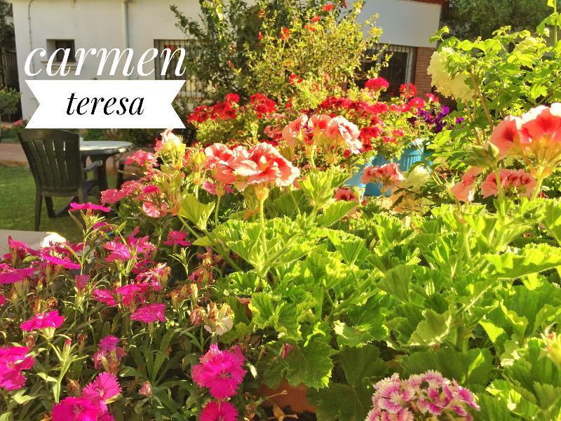 Hotel Carmen Teresa توريمولينوس المظهر الخارجي الصورة