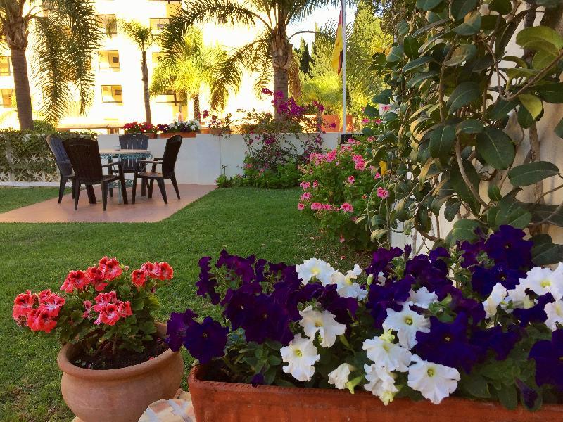 Hotel Carmen Teresa توريمولينوس المظهر الخارجي الصورة