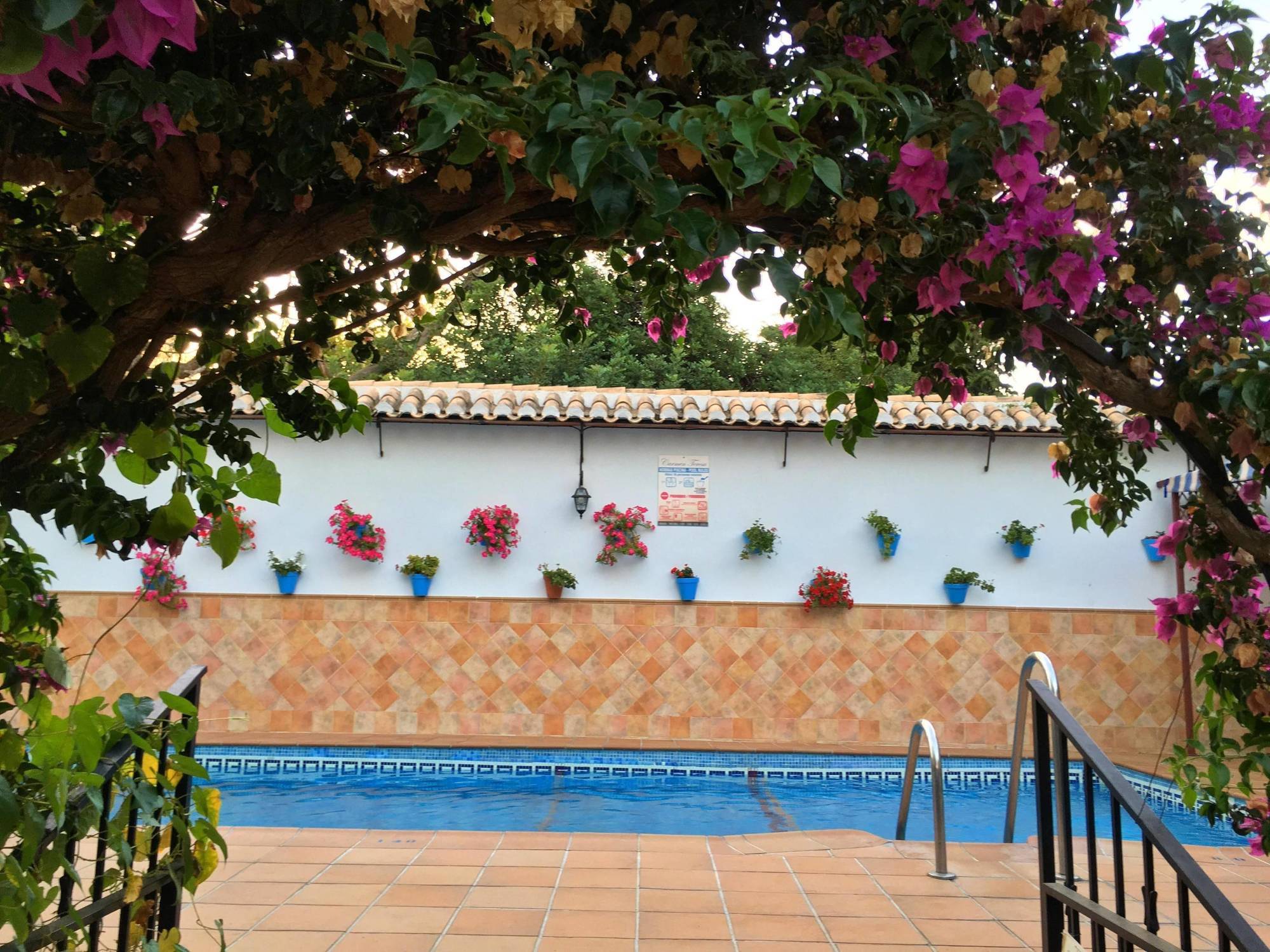 Hotel Carmen Teresa توريمولينوس المظهر الخارجي الصورة